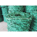 Barbed Wire Bwg12*Bwg14 Hot Sale with Certification